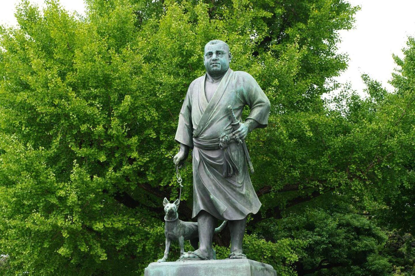 The Kabuki *